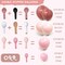 Blush Dusty Pink Balloon Garland Double Stuffed Baby Pink Balloon Latex Rose Pink Balloon Arch Kit Pastel Pink Balloon Set For Boho Wedding Baby Shower Princess Birthday Party Bridal Shower Decoration